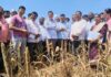 दुष्काळग्रस्त शेतकऱ्यांना मदत करण्यासाठी शासन कटिबद्ध-कृषिमंत्री दत्तात्रय भरणे